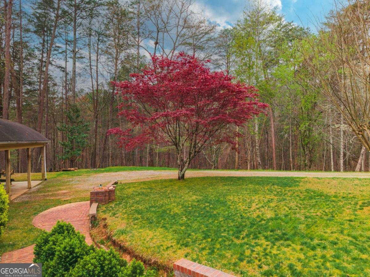 365 Quarles Lane Ellijay - Photo 35