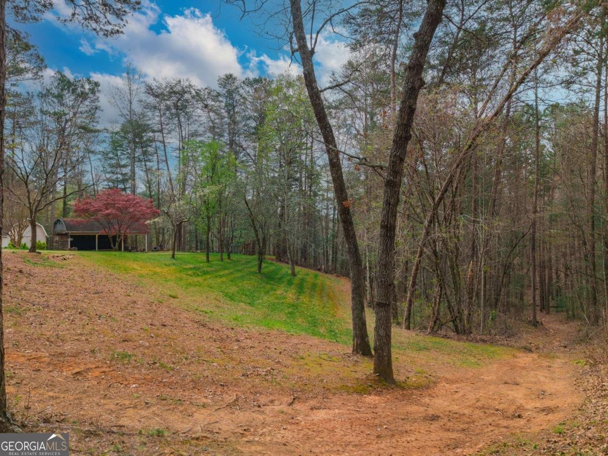 365 Quarles Lane Ellijay - Photo 38