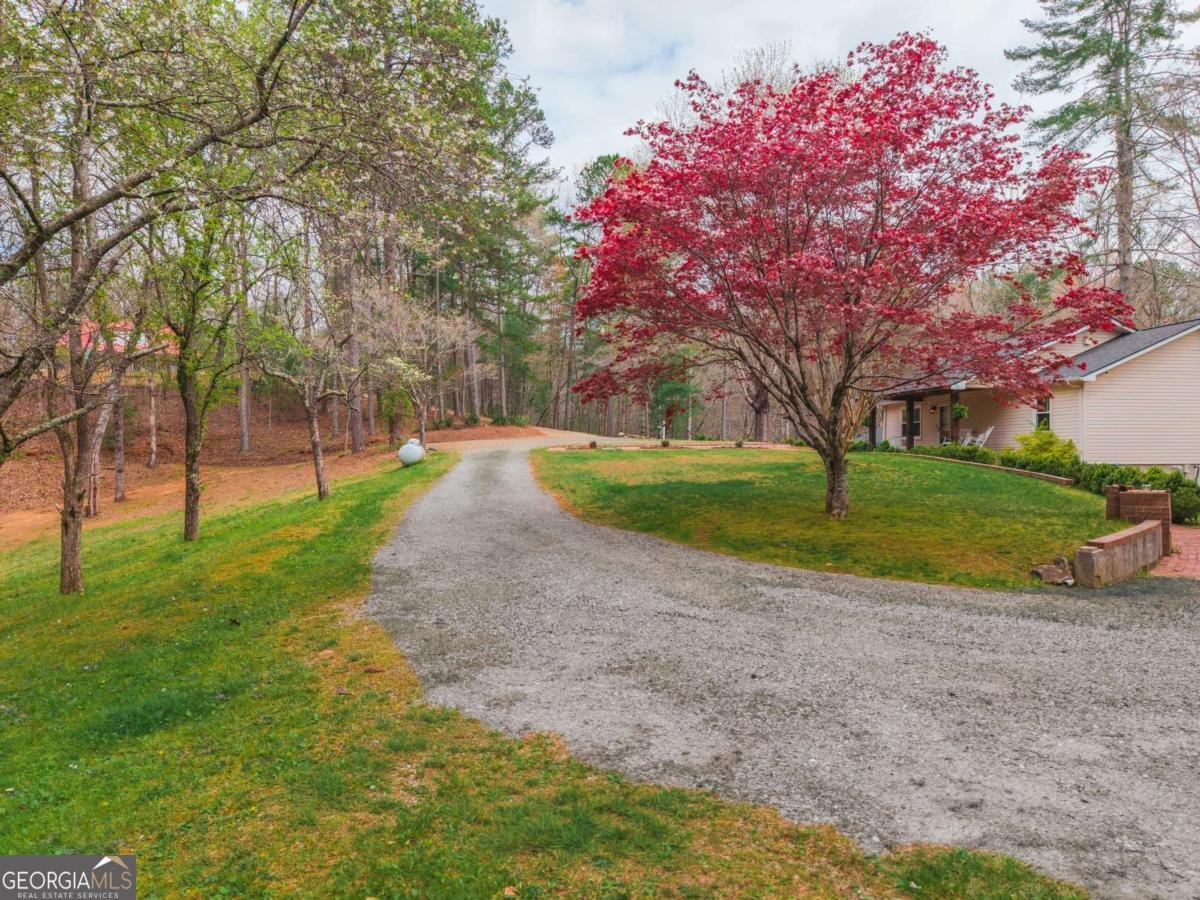 365 Quarles Lane Ellijay - Photo 39