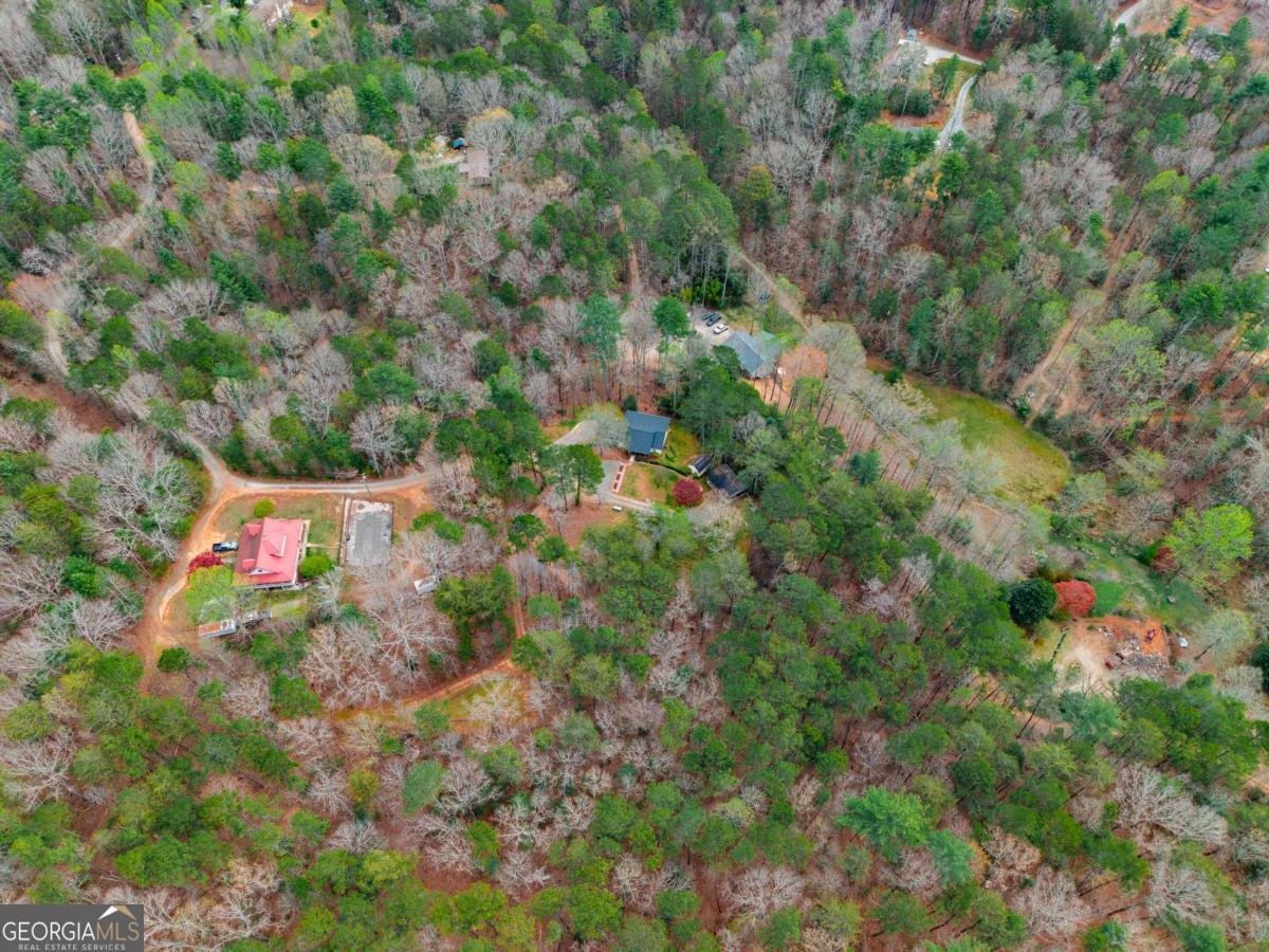 365 Quarles Lane Ellijay - Photo 42