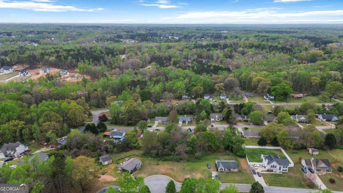 280 Georgia Belle Drive Jefferson - Photo 39