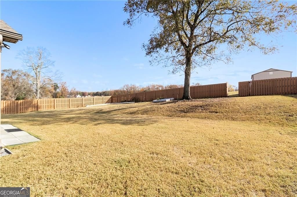 242 Township Drive Senoia - Photo 28