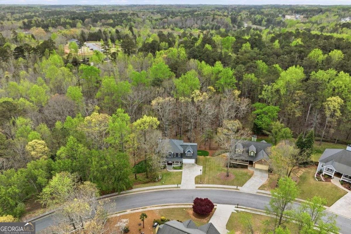 4543 Mulberry Fields Lane Auburn - Photo 34