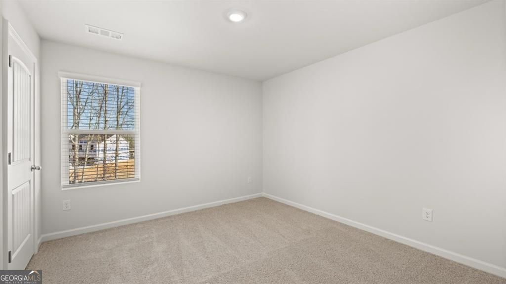 127 Biltmore Place Braselton - Photo 30