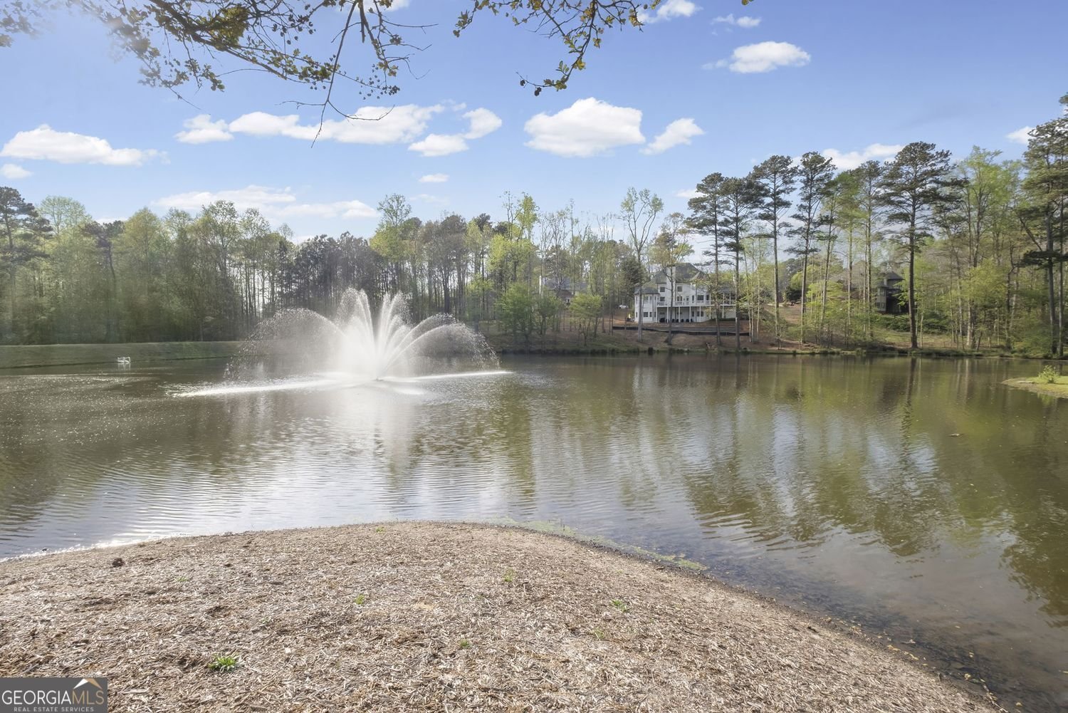 410 The Hermitage Drive Milton - Photo 61