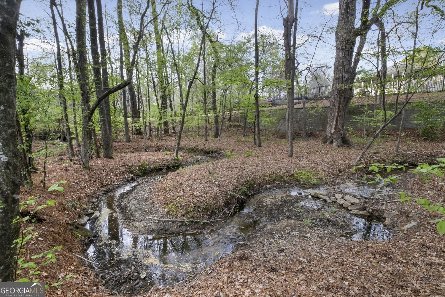 410 The Hermitage Drive Milton - Photo 62