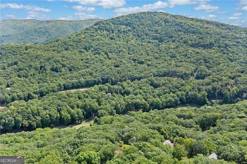 816 Alpine Drive Jasper - Photo 39