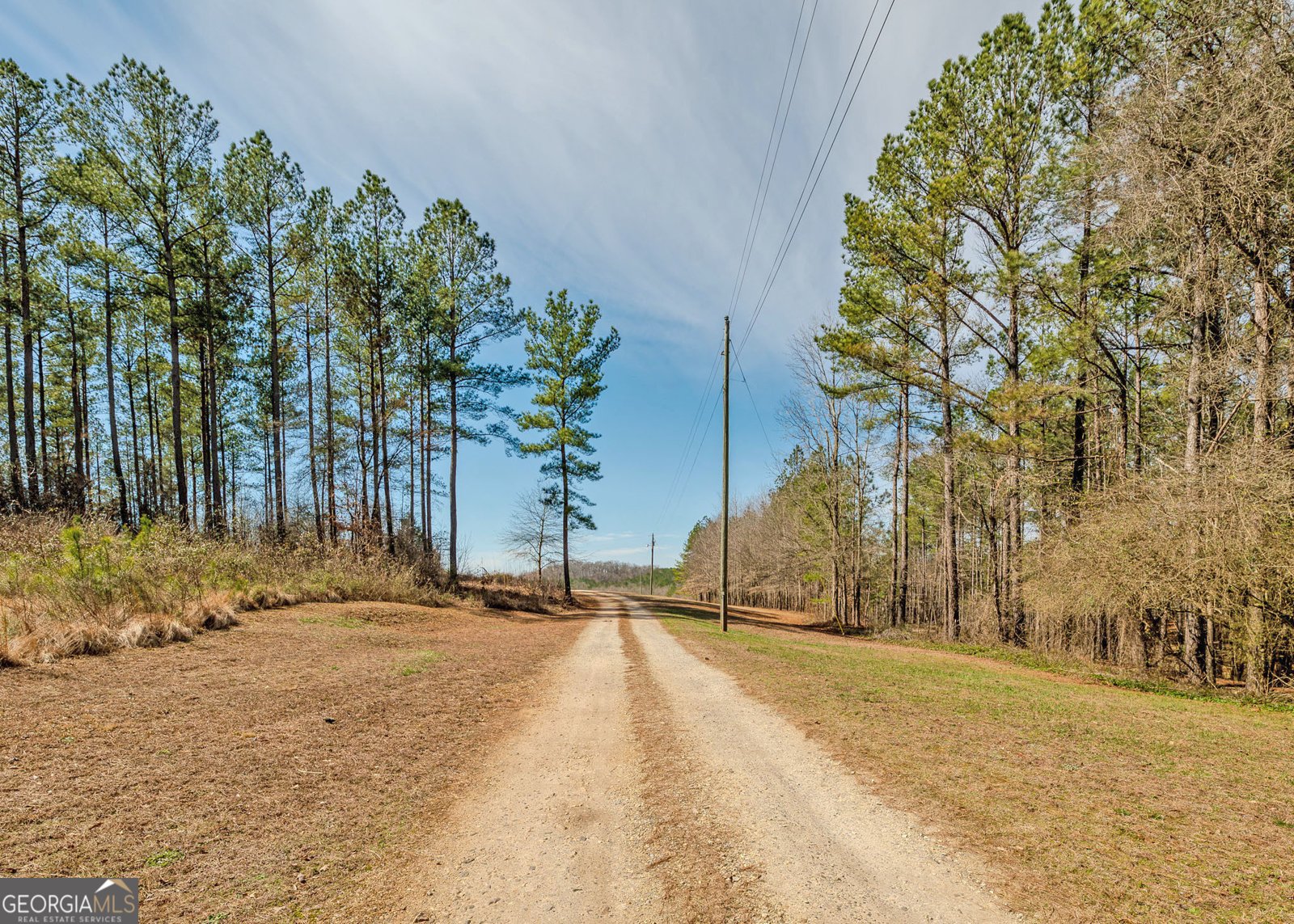 1363 McFarlin Bridge 25 Acres Carnesville - Photo 48