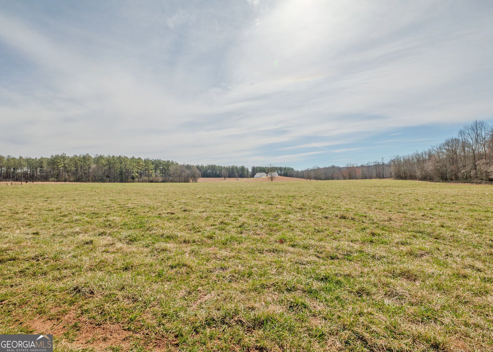 1363 McFarlin Bridge 25 Acres Carnesville - Photo 54