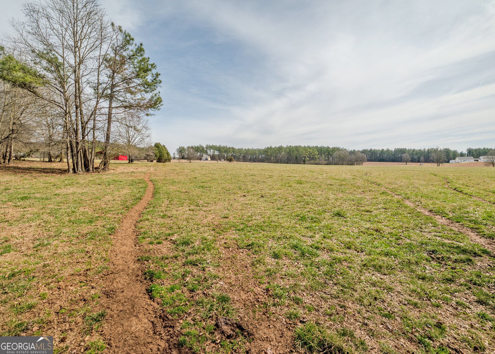 1363 McFarlin Bridge 25 Acres Carnesville - Photo 55