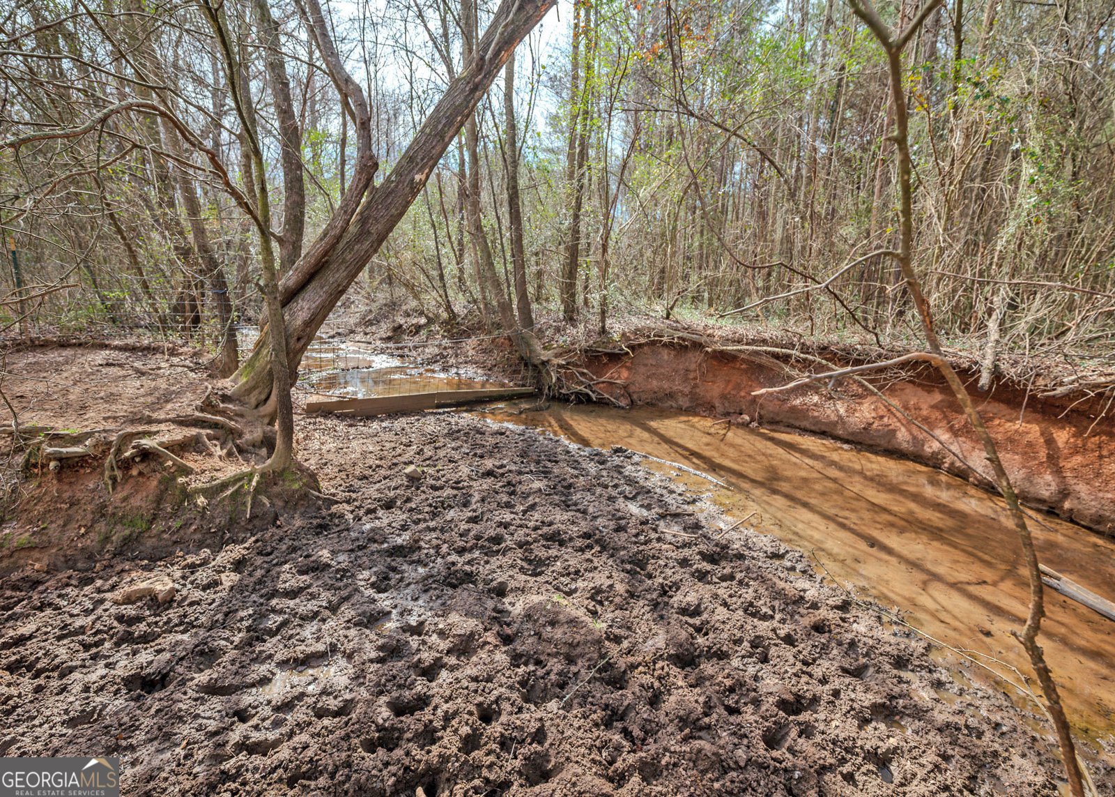 1363 McFarlin Bridge 25 Acres Carnesville - Photo 61