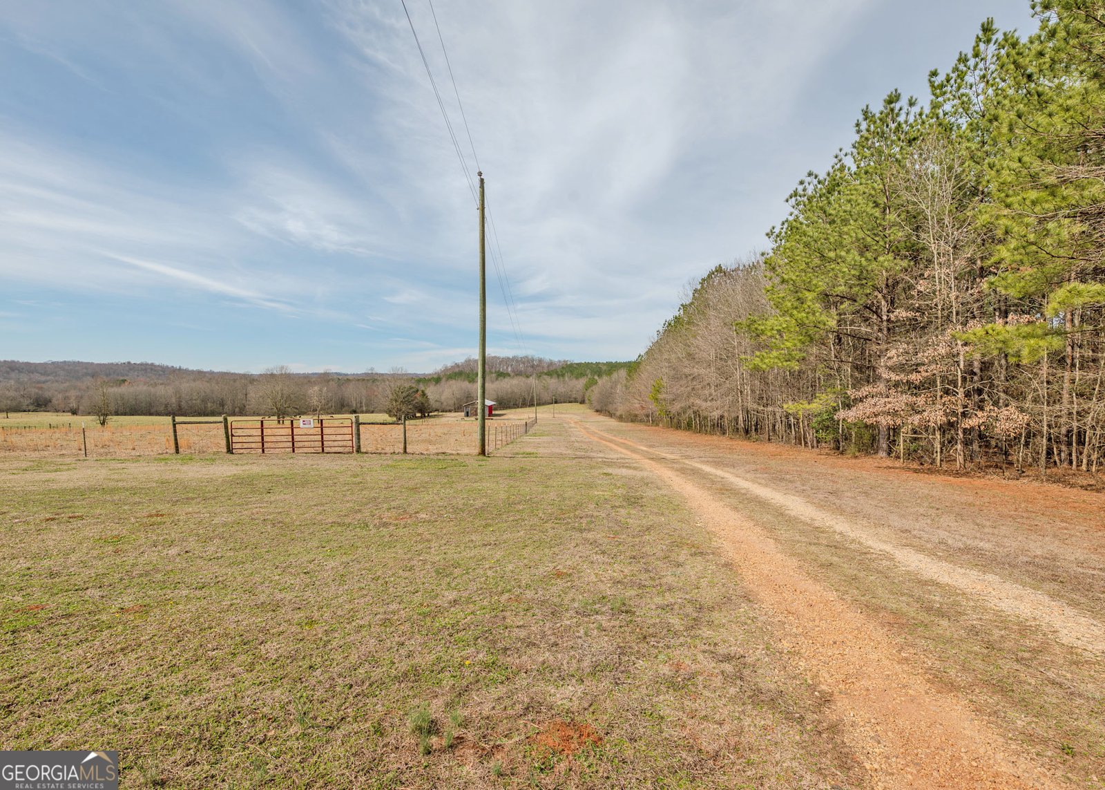 1363 McFarlin Bridge 25 Acres Carnesville - Photo 64