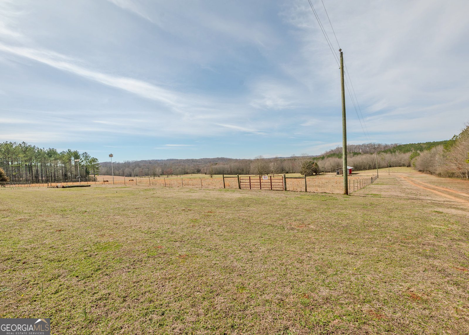 1363 McFarlin Bridge 25 Acres Carnesville - Photo 70