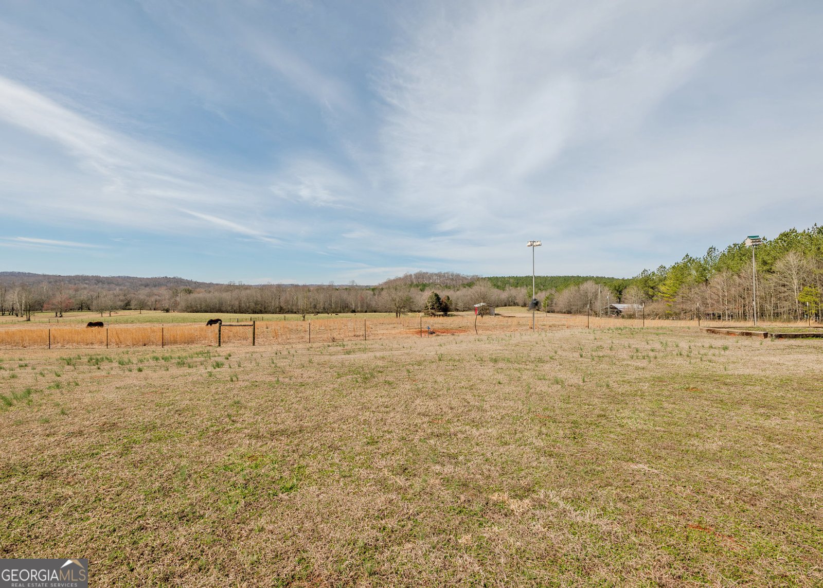 1363 McFarlin Bridge 25 Acres Carnesville - Photo 71