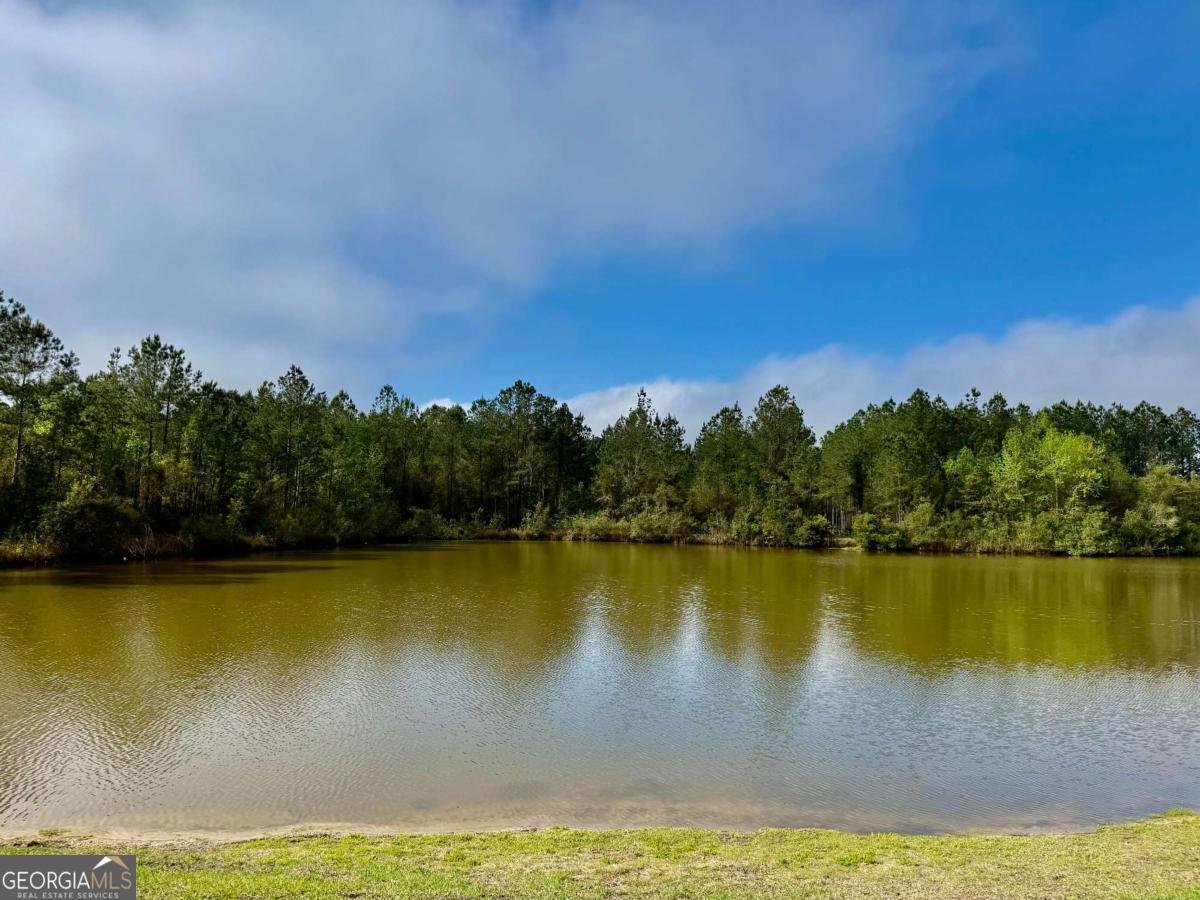 193 Saddle Brooke Trace Brunswick - Photo 38