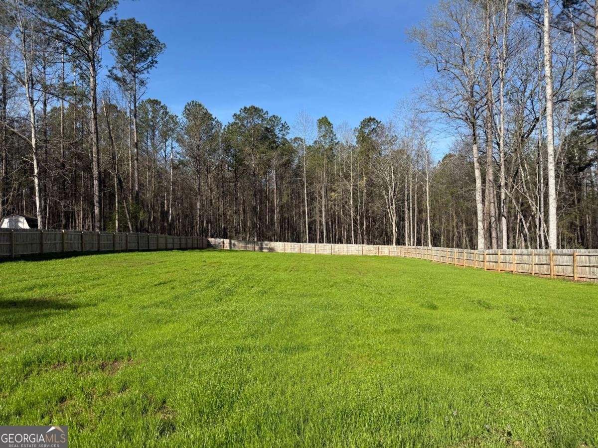 146 Jeb Stuart Drive Newnan - Photo 40