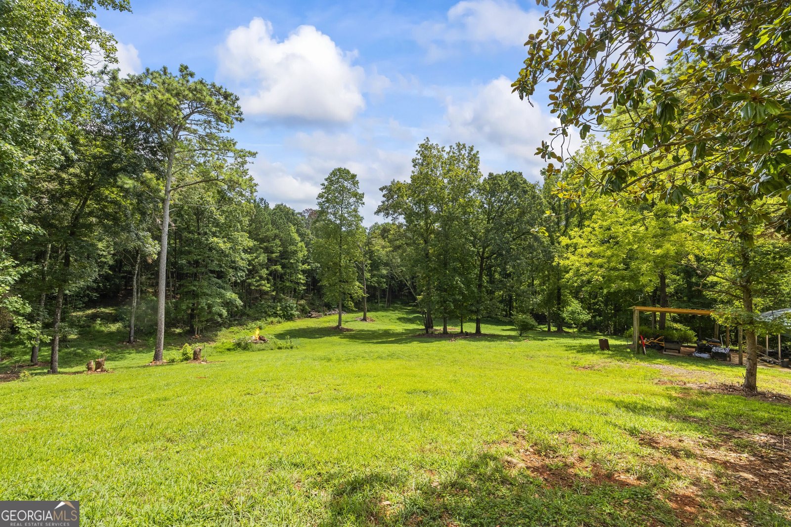 31 Haygood Circle Dawsonville - Photo 10