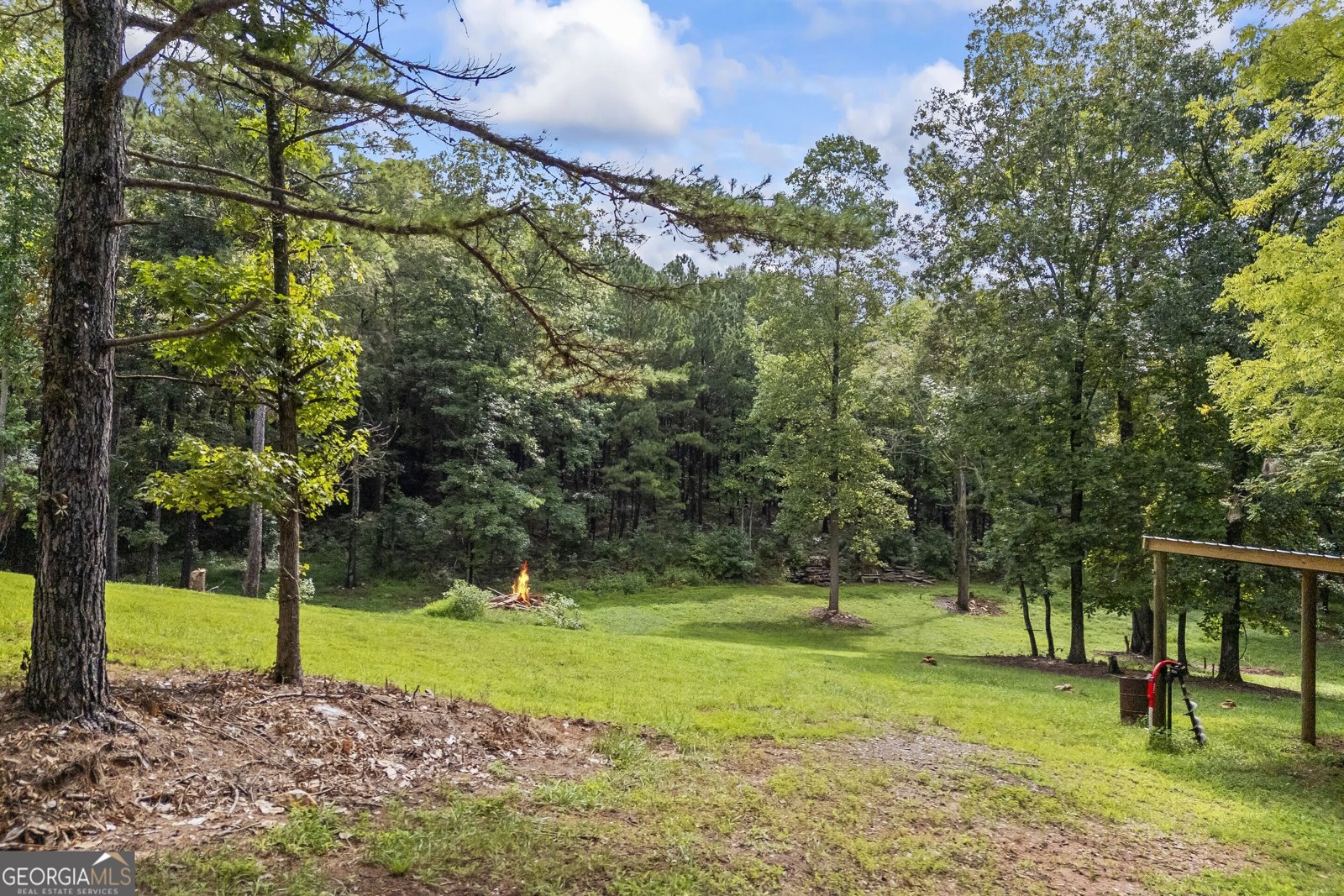 31 Haygood Circle Dawsonville - Photo 59