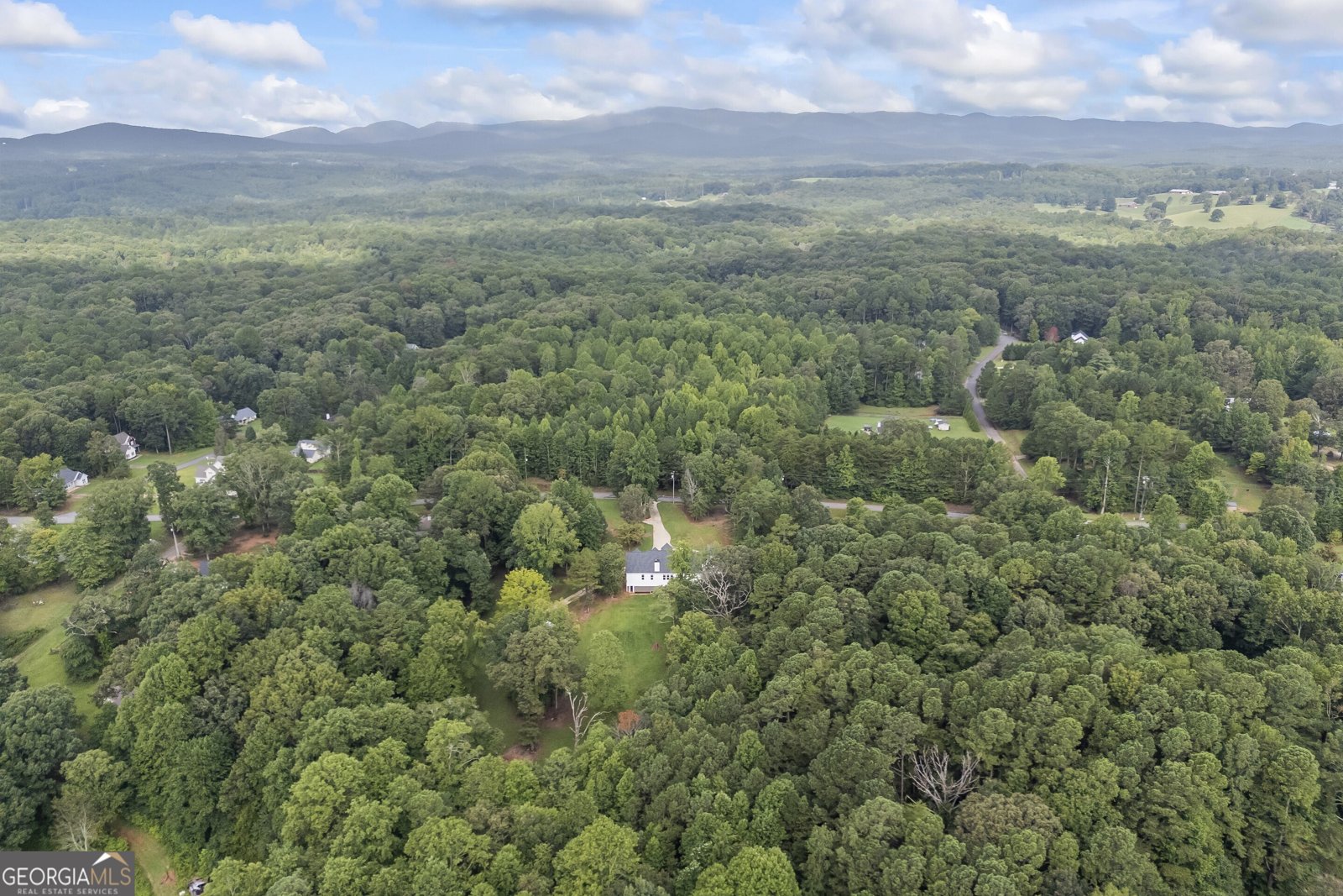 31 Haygood Circle Dawsonville - Photo 61