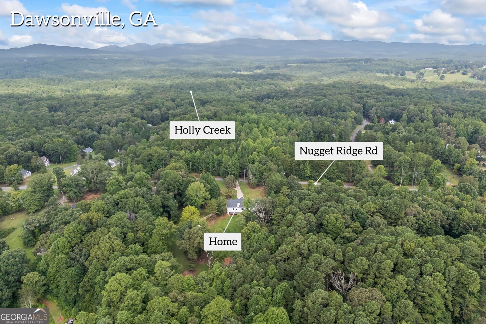31 Haygood Circle Dawsonville - Photo 62