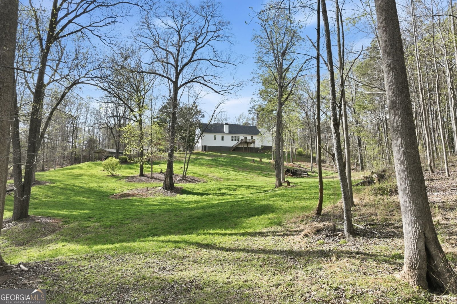 31 Haygood Circle Dawsonville - Photo 9