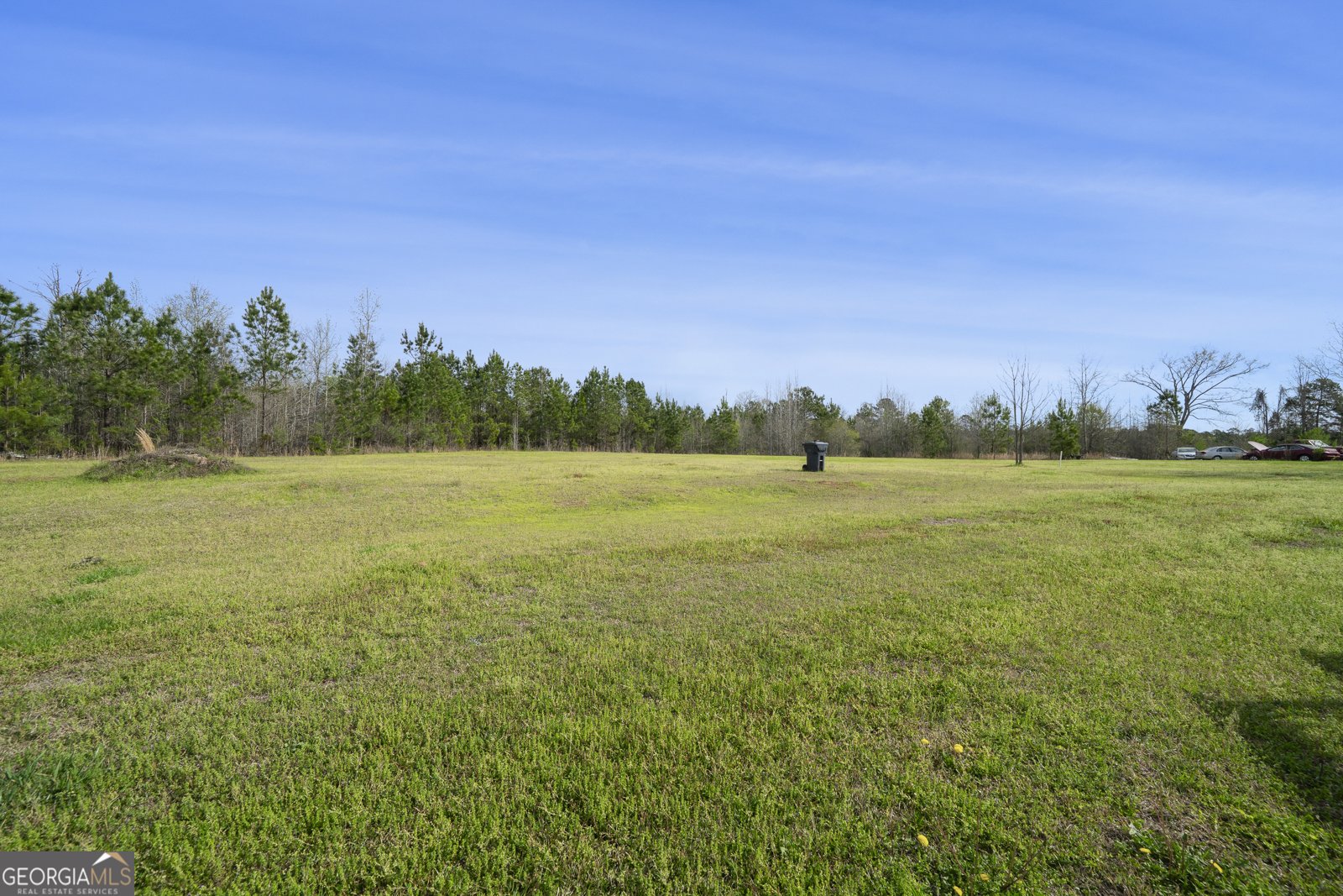 219 Hitchcock Milledgeville - Photo 30