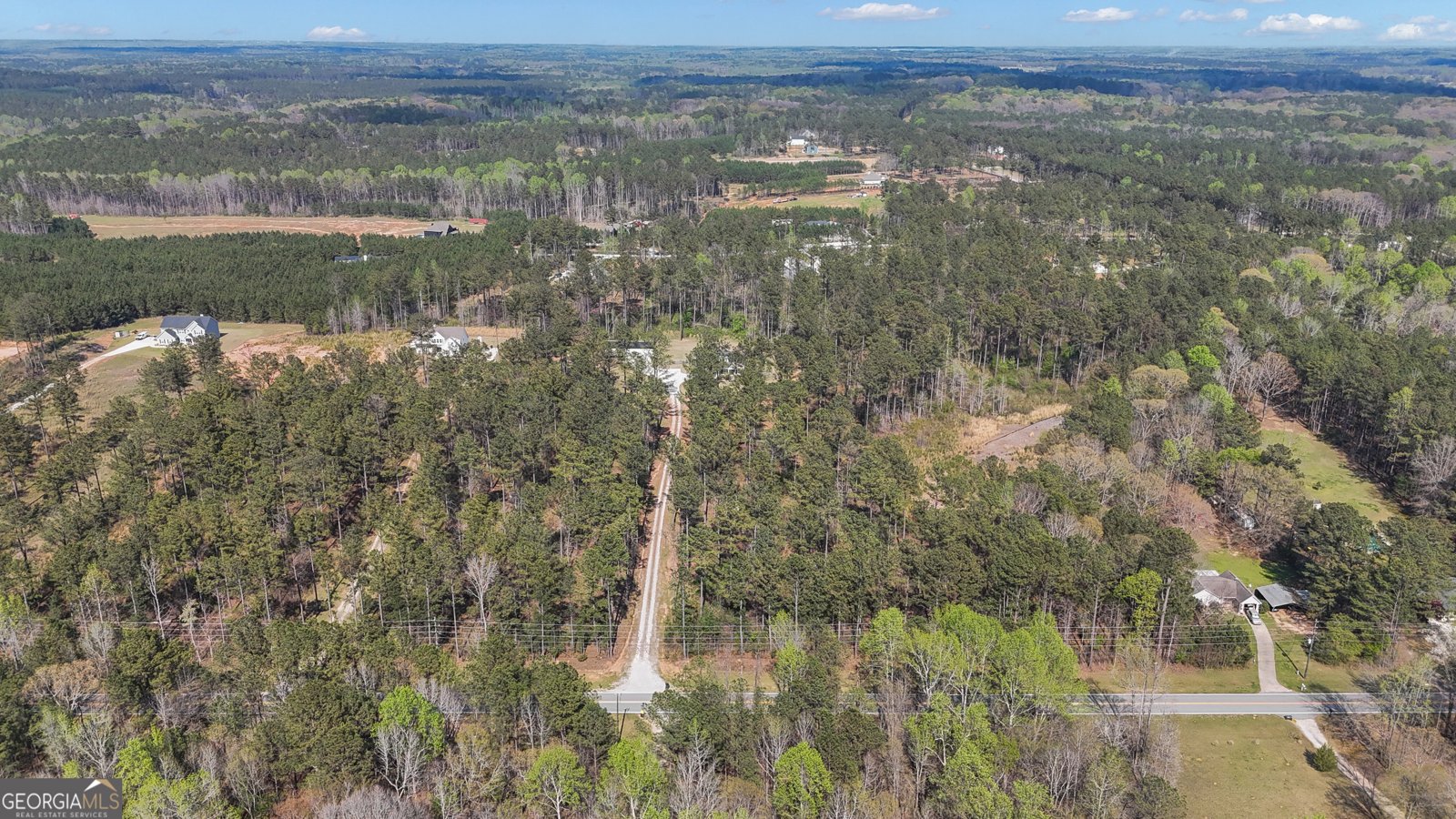 1881 Bohannon Road Grantville - Photo 45