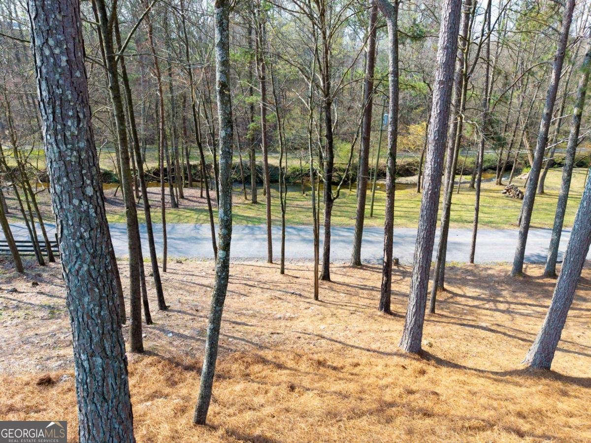 1420 Henry Evans Road Ellijay - Photo 11