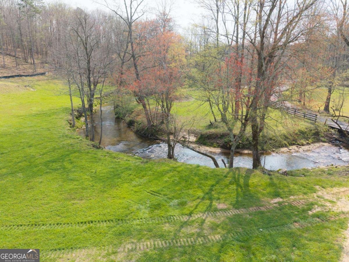 1420 Henry Evans Road Ellijay - Photo 13