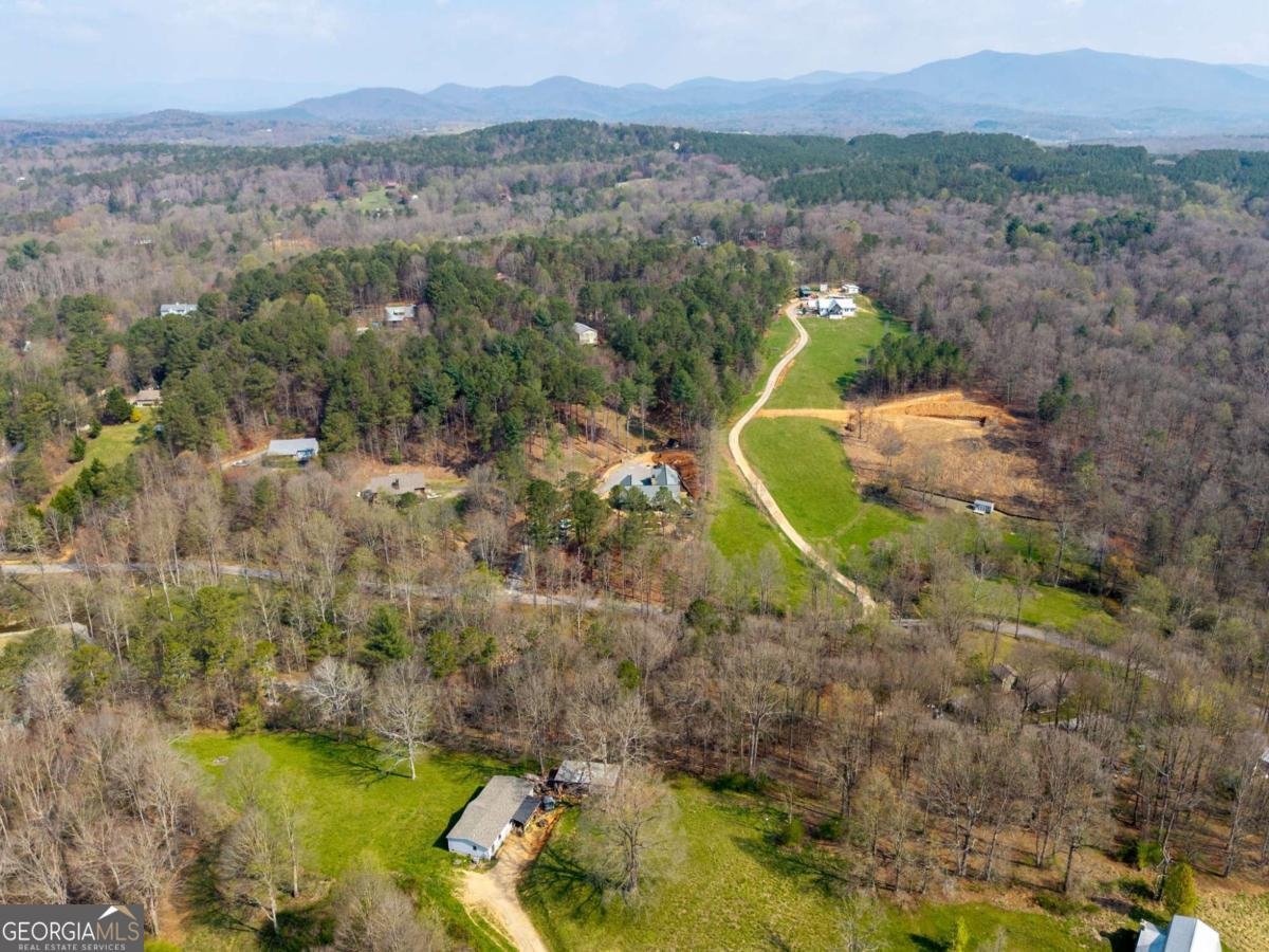 1420 Henry Evans Road Ellijay - Photo 9