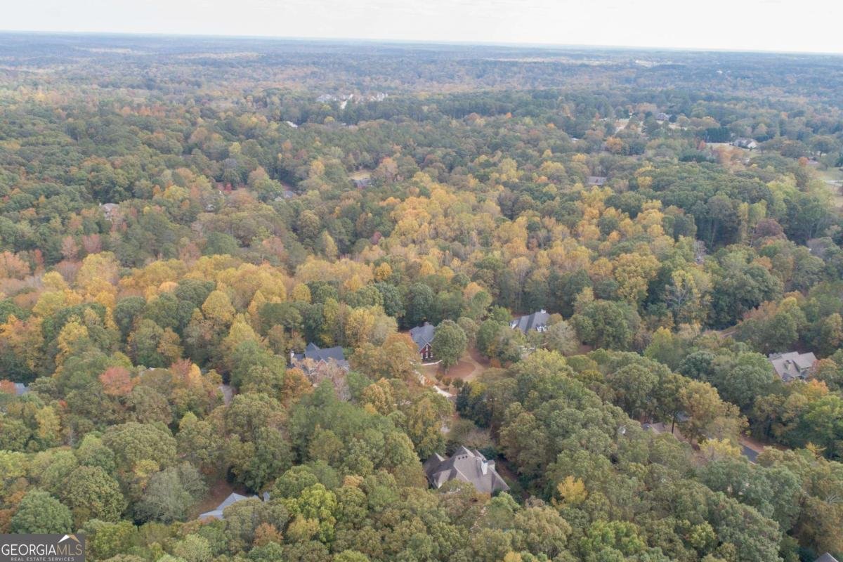 1221 Knob Creek Drive Athens - Photo 47