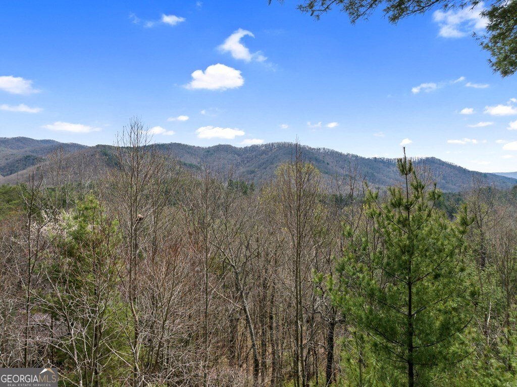 272 Laurel Mountain Road Cherry Log - Photo 26