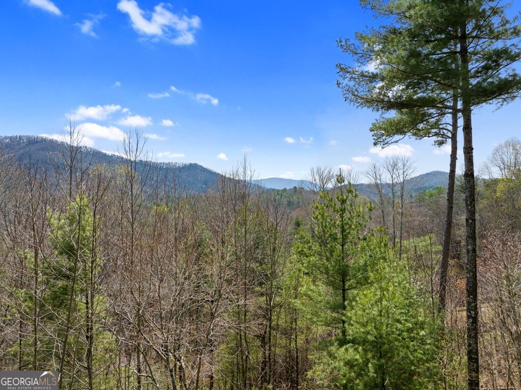 272 Laurel Mountain Road Cherry Log - Photo 37