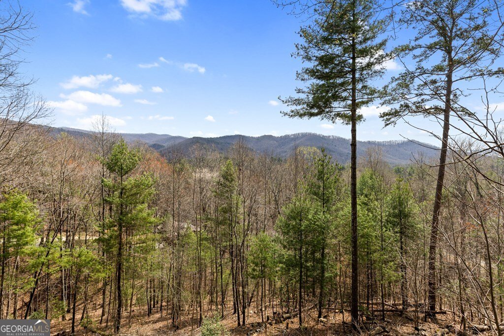 272 Laurel Mountain Road Cherry Log - Photo 40