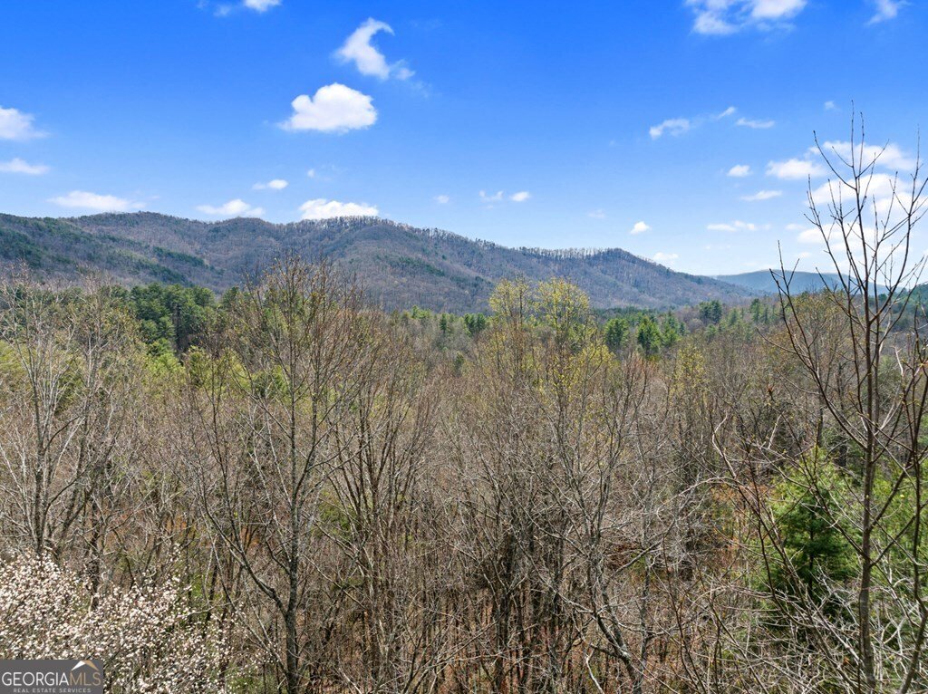 272 Laurel Mountain Road Cherry Log - Photo 41