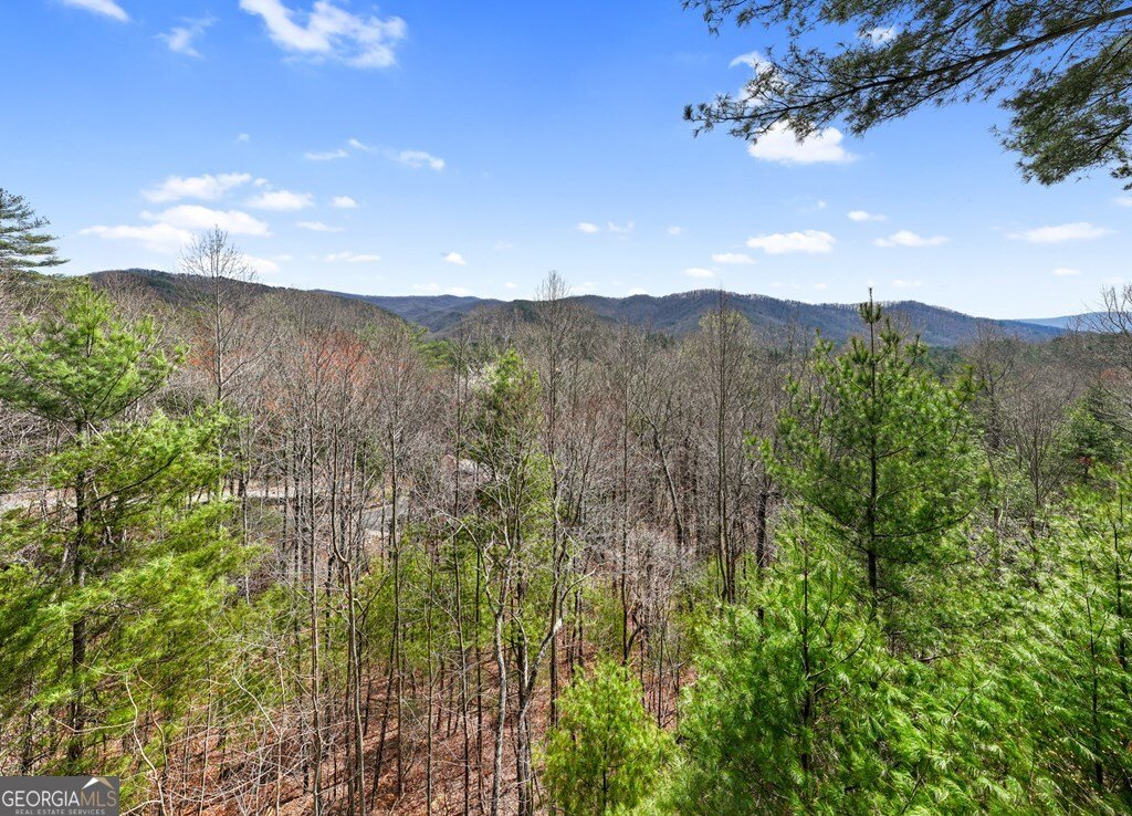 272 Laurel Mountain Road Cherry Log - Photo 45