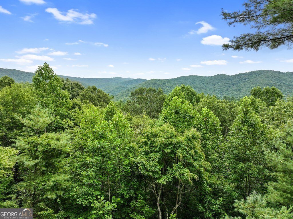 272 Laurel Mountain Road Cherry Log - Photo 52