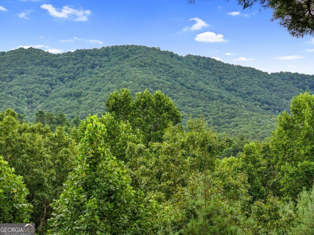 272 Laurel Mountain Road Cherry Log - Photo 53