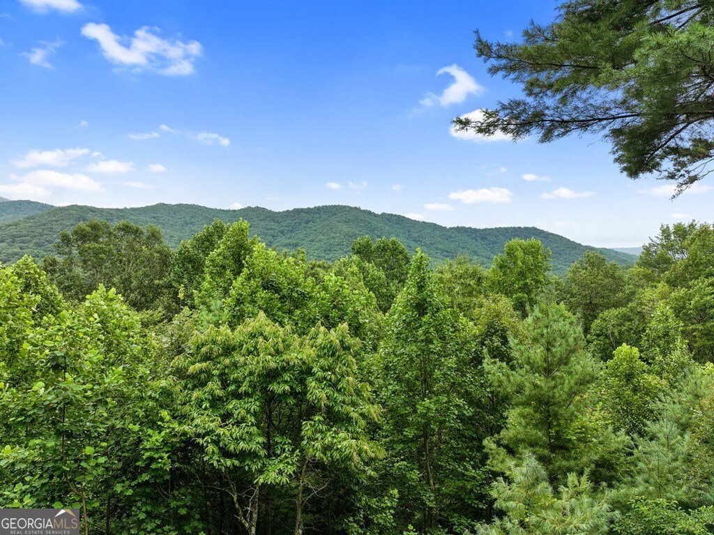 272 Laurel Mountain Road Cherry Log - Photo 54