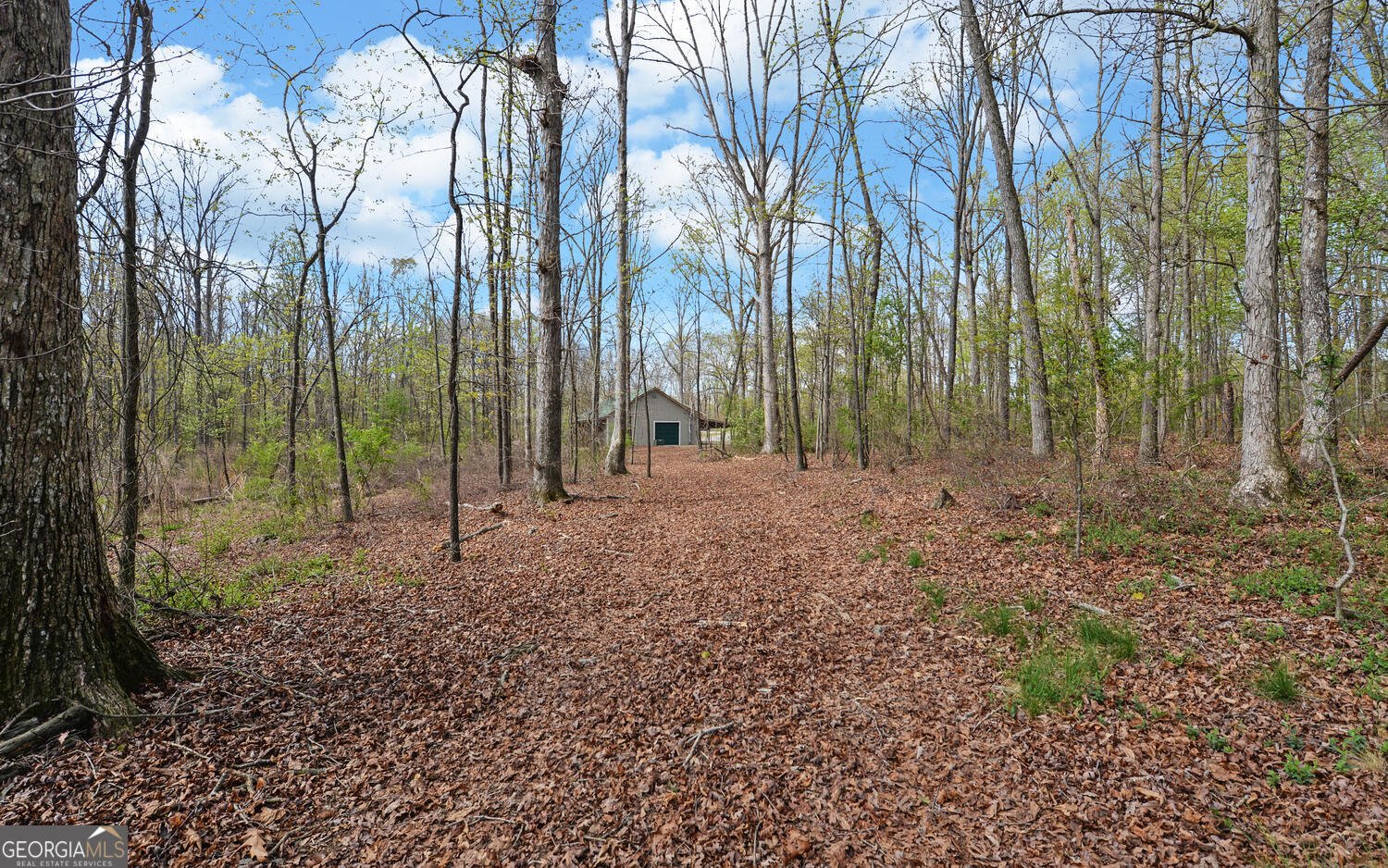 197 Woodland Way Dewy Rose - Photo 69