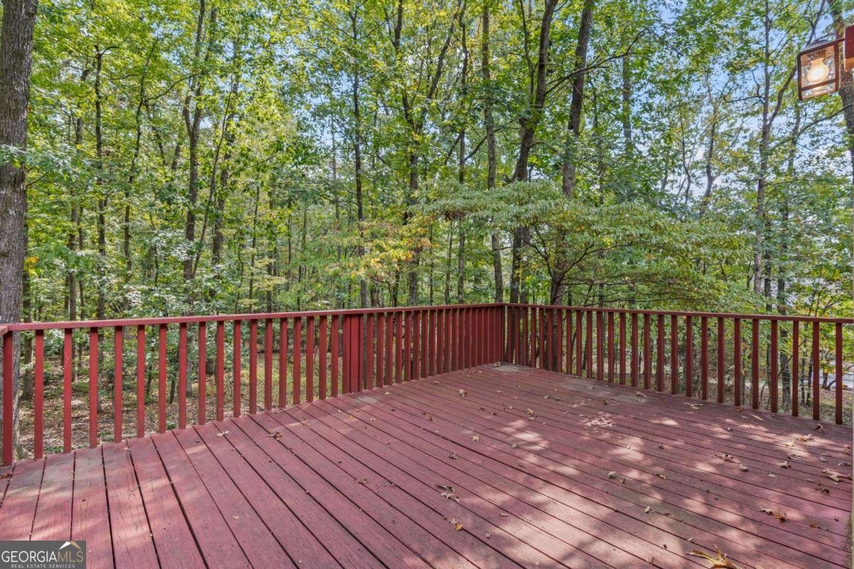 30 Joe Lee Drive Sharpsburg - Photo 45