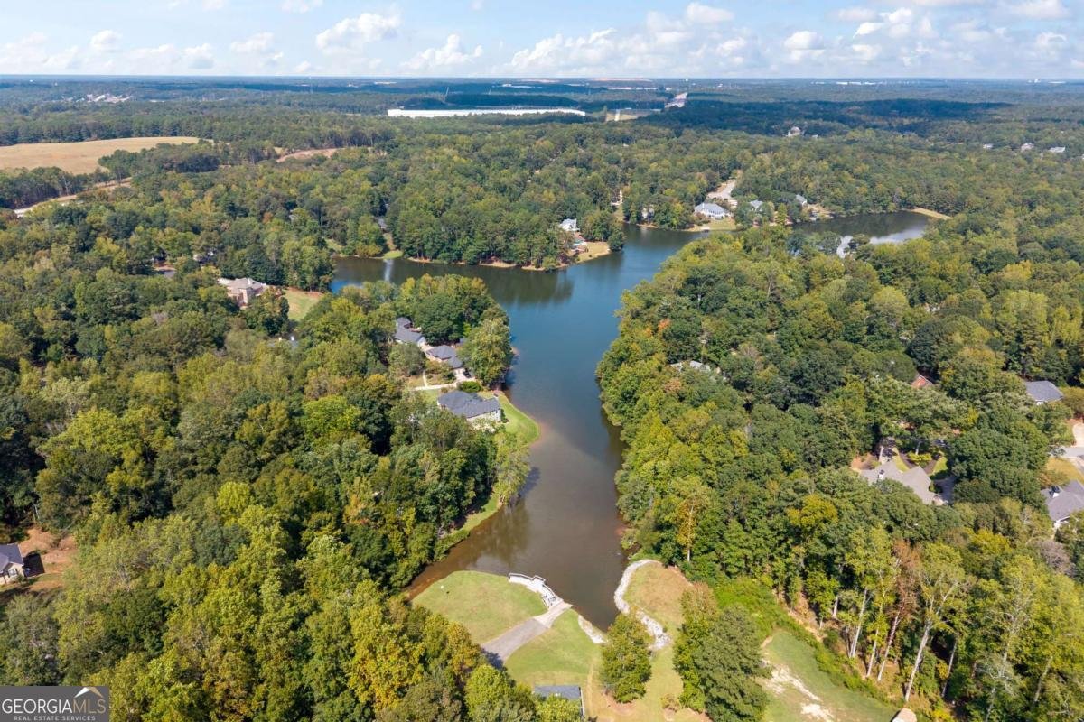 30 Joe Lee Drive Sharpsburg - Photo 56