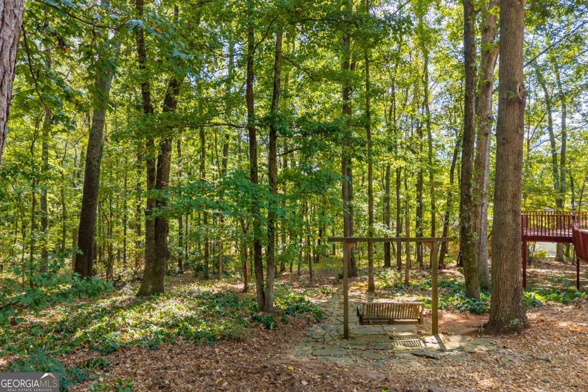 30 Joe Lee Drive Sharpsburg - Photo 62