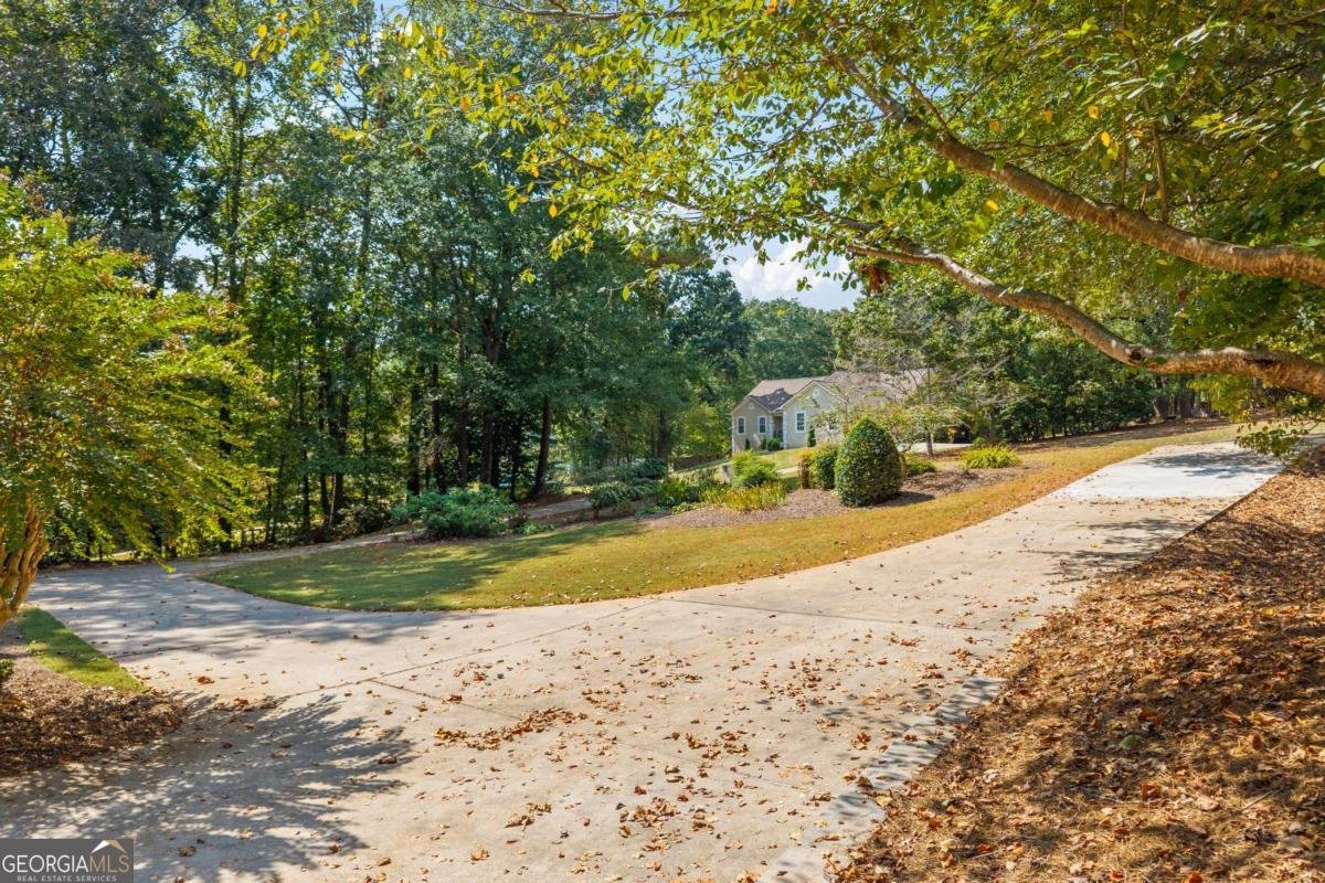 30 Joe Lee Drive Sharpsburg - Photo 64