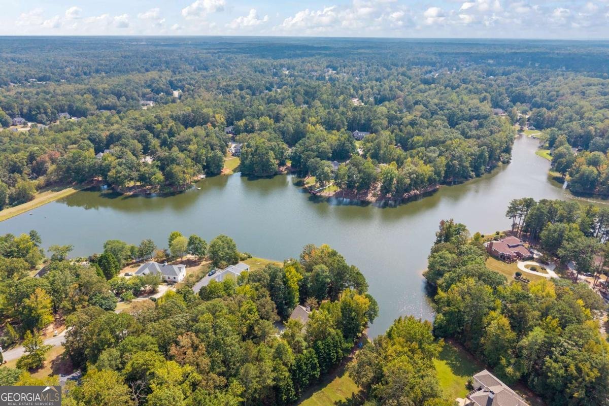 30 Joe Lee Drive Sharpsburg - Photo 66