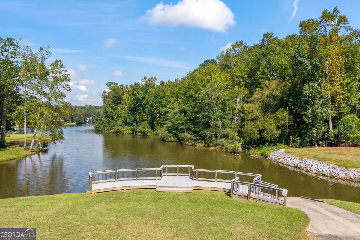 30 Joe Lee Drive Sharpsburg - Photo 70