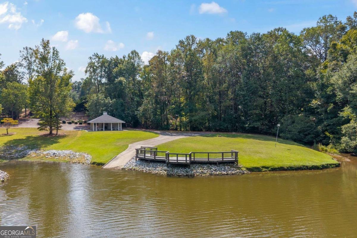 30 Joe Lee Drive Sharpsburg - Photo 71