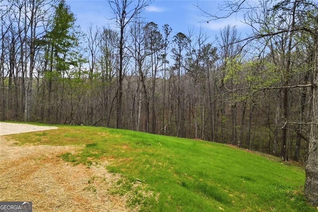 240 Cherokee Wood Hollow Dr Ball Ground - Photo 28