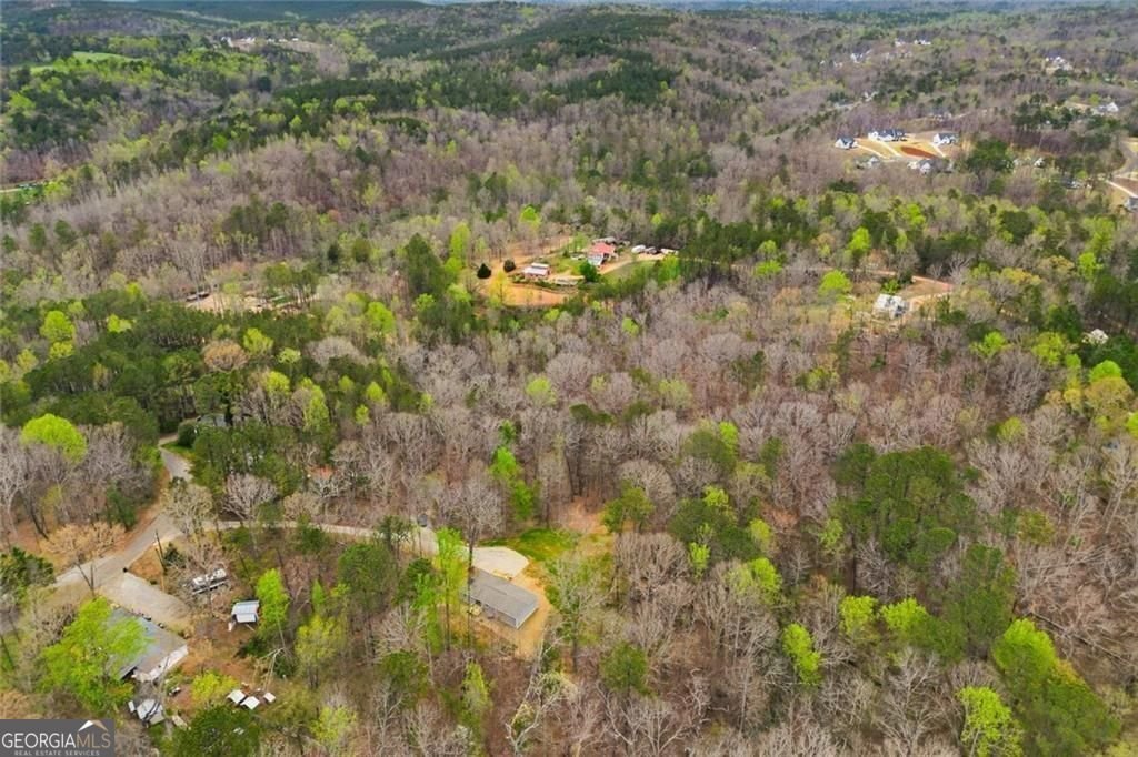 240 Cherokee Wood Hollow Dr Ball Ground - Photo 37