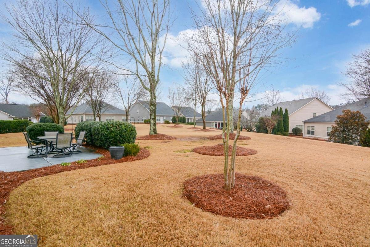 1310 Creek Vista Drive Cumming - Photo 41